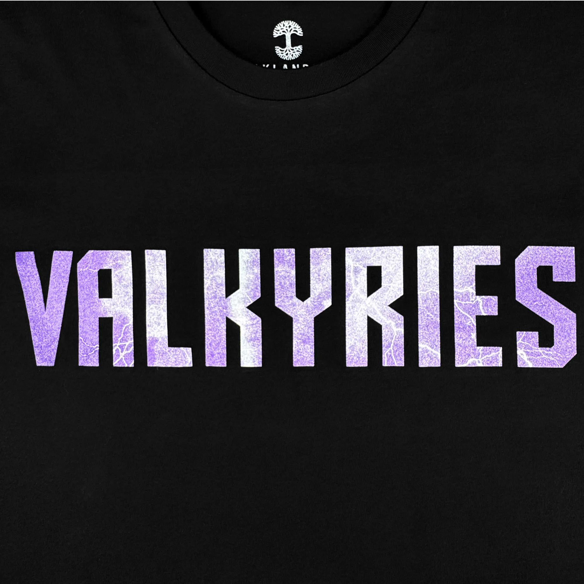 Golden State Valkyries Violet Lightning LS Tee