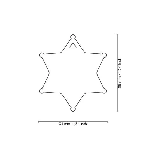 MyFamily Bronx Sheriff's Star ID Tag in English Brass